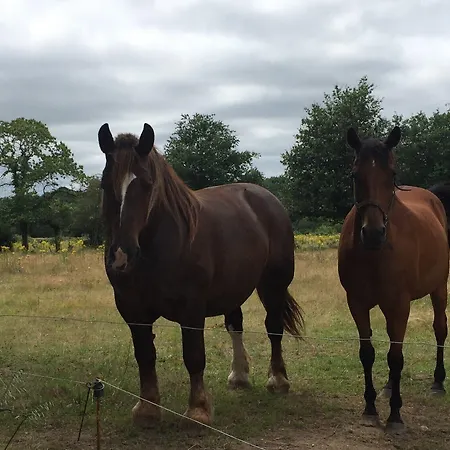 Отель Le Relais De Verone D'hotes