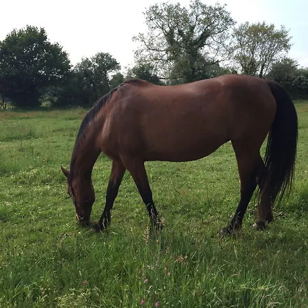 Le Relais De Verone D'hotes 3*