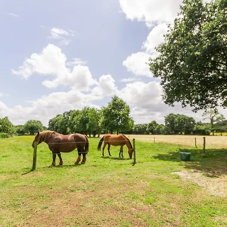 Le Relais De Verone D'hotes Nort-sur-Erdre (Loire-Atlantique)