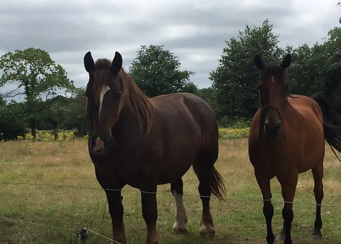 Hotel Le Relais De Verone D'hotes