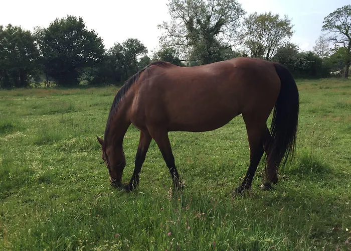 Le Relais De Verone D'hotes 3*