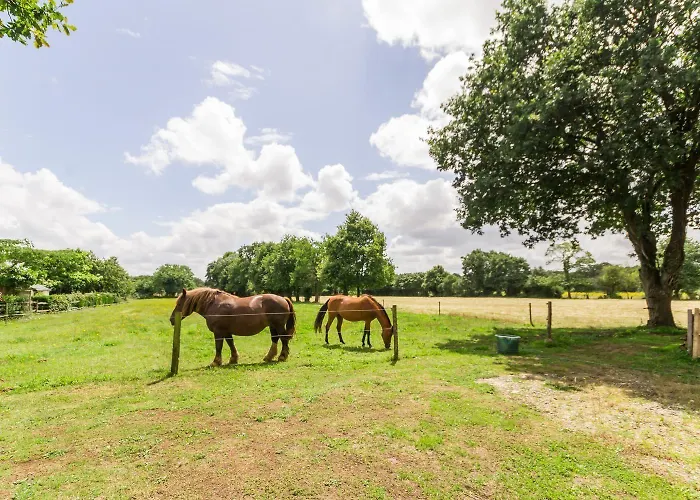 Le Relais De Verone D'hotes Nort-sur-Erdre (Loire-Atlantique)